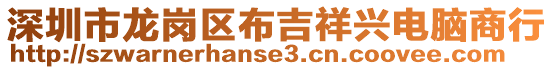 深圳市龍崗區(qū)布吉祥興電腦商行