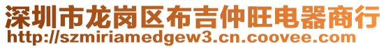 深圳市龍崗區布吉仲旺電器商行