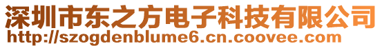 深圳市東之方電子科技有限公司