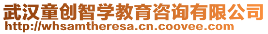 武汉童创智学教育咨询有限公司