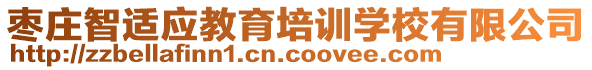 棗莊智適應(yīng)教育培訓(xùn)學(xué)校有限公司