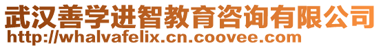 武汉善学进智教育咨询有限公司