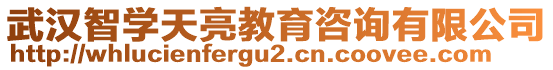 武汉智学天亮教育咨询有限公司