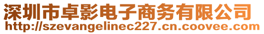 深圳市卓影電子商務(wù)有限公司