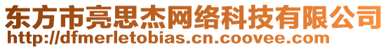 東方市亮思杰網(wǎng)絡(luò)科技有限公司