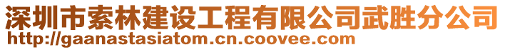 深圳市索林建設(shè)工程有限公司武勝分公司