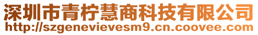 深圳市青柠慧商科技有限公司