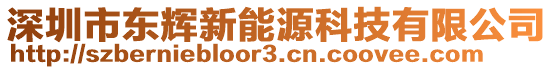 深圳市東輝新能源科技有限公司