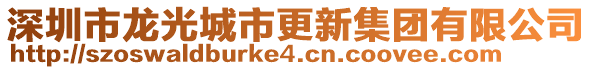 深圳市龍光城市更新集團(tuán)有限公司