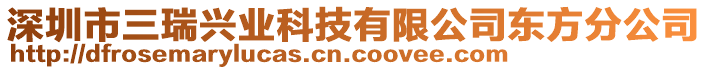 深圳市三瑞兴业科技有限公司东方分公司