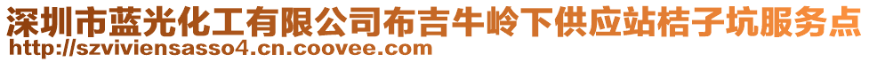 深圳市蓝光化工有限公司布吉牛岭下供应站桔子坑服务点