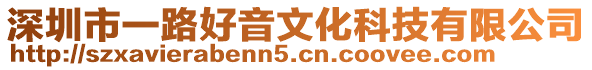 深圳市一路好音文化科技有限公司