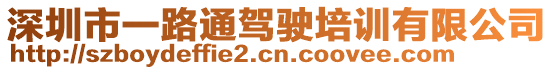 深圳市一路通駕駛培訓有限公司