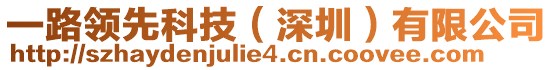 一路領(lǐng)先科技（深圳）有限公司