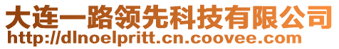 大连一路领先科技有限公司