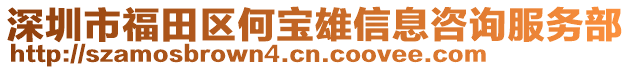 深圳市福田區(qū)何寶雄信息咨詢服務(wù)部