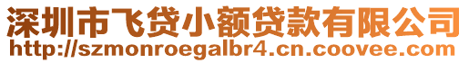 深圳市飛貸小額貸款有限公司
