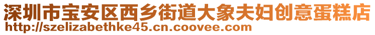 深圳市寶安區(qū)西鄉(xiāng)街道大象夫婦創(chuàng)意蛋糕店