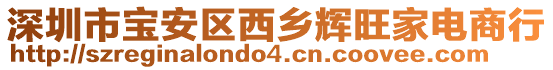 深圳市寶安區(qū)西鄉(xiāng)輝旺家電商行