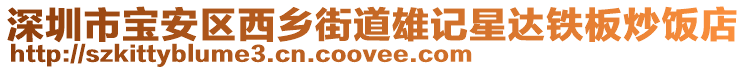 深圳市寶安區(qū)西鄉(xiāng)街道雄記星達鐵板炒飯店