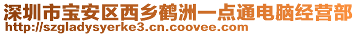 深圳市寶安區(qū)西鄉(xiāng)鶴洲一點(diǎn)通電腦經(jīng)營(yíng)部