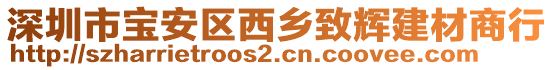 深圳市寶安區西鄉致輝建材商行