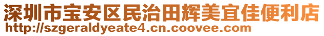 深圳市寶安區(qū)民治田輝美宜佳便利店