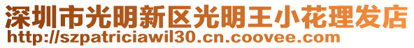 深圳市光明新區(qū)光明王小花理發(fā)店