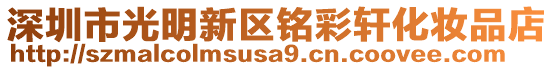 深圳市光明新區(qū)銘彩軒化妝品店