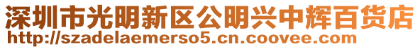 深圳市光明新區公明興中輝百貨店