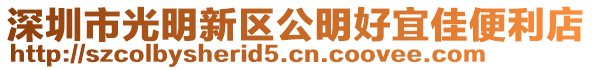 深圳市光明新區(qū)公明好宜佳便利店