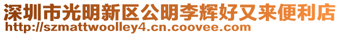 深圳市光明新區(qū)公明李輝好又來便利店