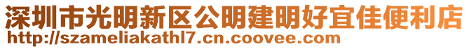 深圳市光明新區(qū)公明建明好宜佳便利店