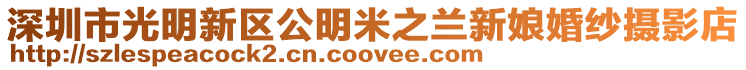 深圳市光明新區公明米之蘭新娘婚紗攝影店