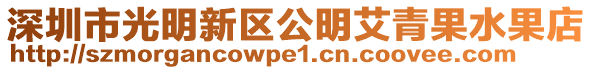 深圳市光明新區(qū)公明艾青果水果店