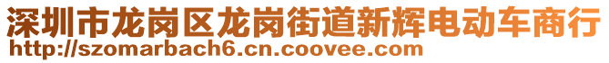 深圳市龍崗區(qū)龍崗街道新輝電動車商行