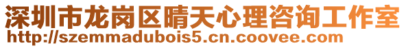 深圳市龍崗區晴天心理咨詢工作室