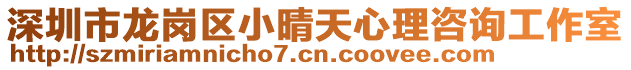 深圳市龍崗區小晴天心理咨詢工作室