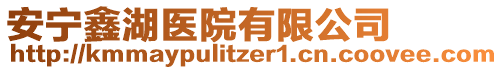 安寧鑫湖醫(yī)院有限公司