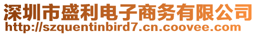 深圳市盛利電子商務(wù)有限公司