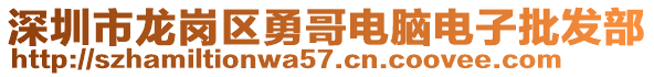 深圳市龍崗區(qū)勇哥電腦電子批發(fā)部