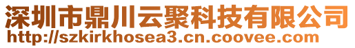 深圳市鼎川云聚科技有限公司