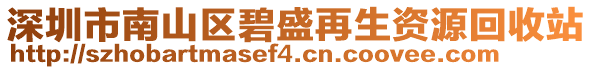 深圳市南山區(qū)碧盛再生資源回收站