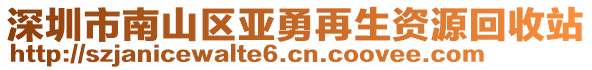 深圳市南山區(qū)亞勇再生資源回收站