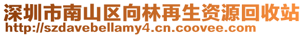 深圳市南山區(qū)向林再生資源回收站