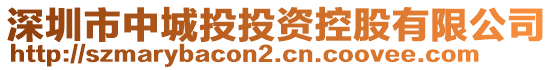 深圳市中城投投資控股有限公司