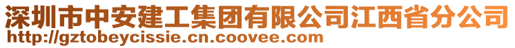 深圳市中安建工集團有限公司江西省分公司