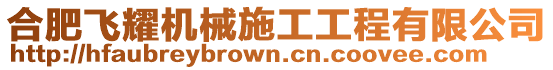 合肥飛耀機械施工工程有限公司