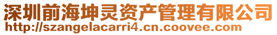 深圳前海坤靈資產管理有限公司