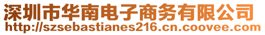 深圳市華南電子商務(wù)有限公司